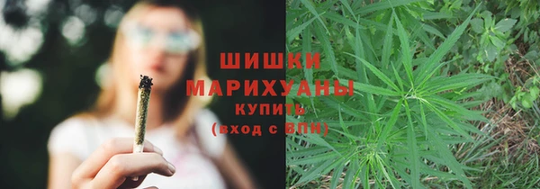 трава Аркадак