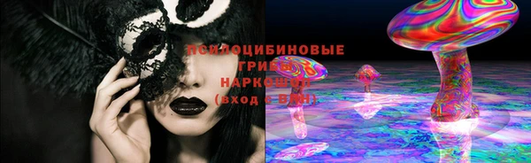 шишки Армянск