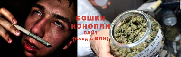 шишки Армянск