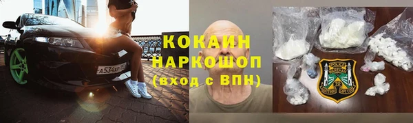 шишки Армянск