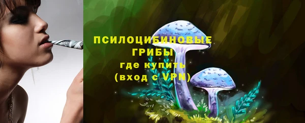 трава Аркадак