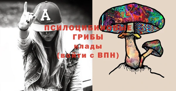 трава Аркадак