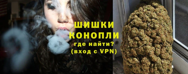трава Аркадак